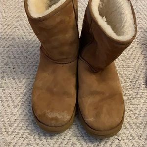 CHESTNUT UGG BOOTS